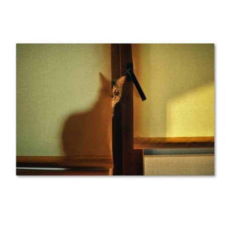 Trademark Fine Art Knartist 'A Bit Of Maya' Canvas Art, 12x19 1X00290-C1219GG